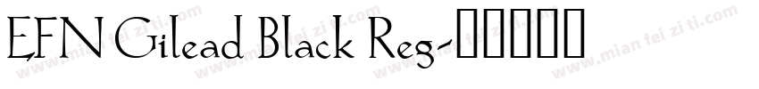 EFN Gilead Black Reg字体转换